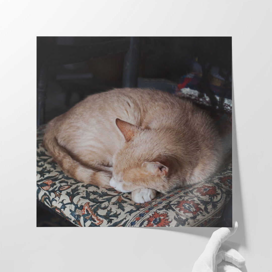 Sleepy Afternoon - Canvas Print Wall Art