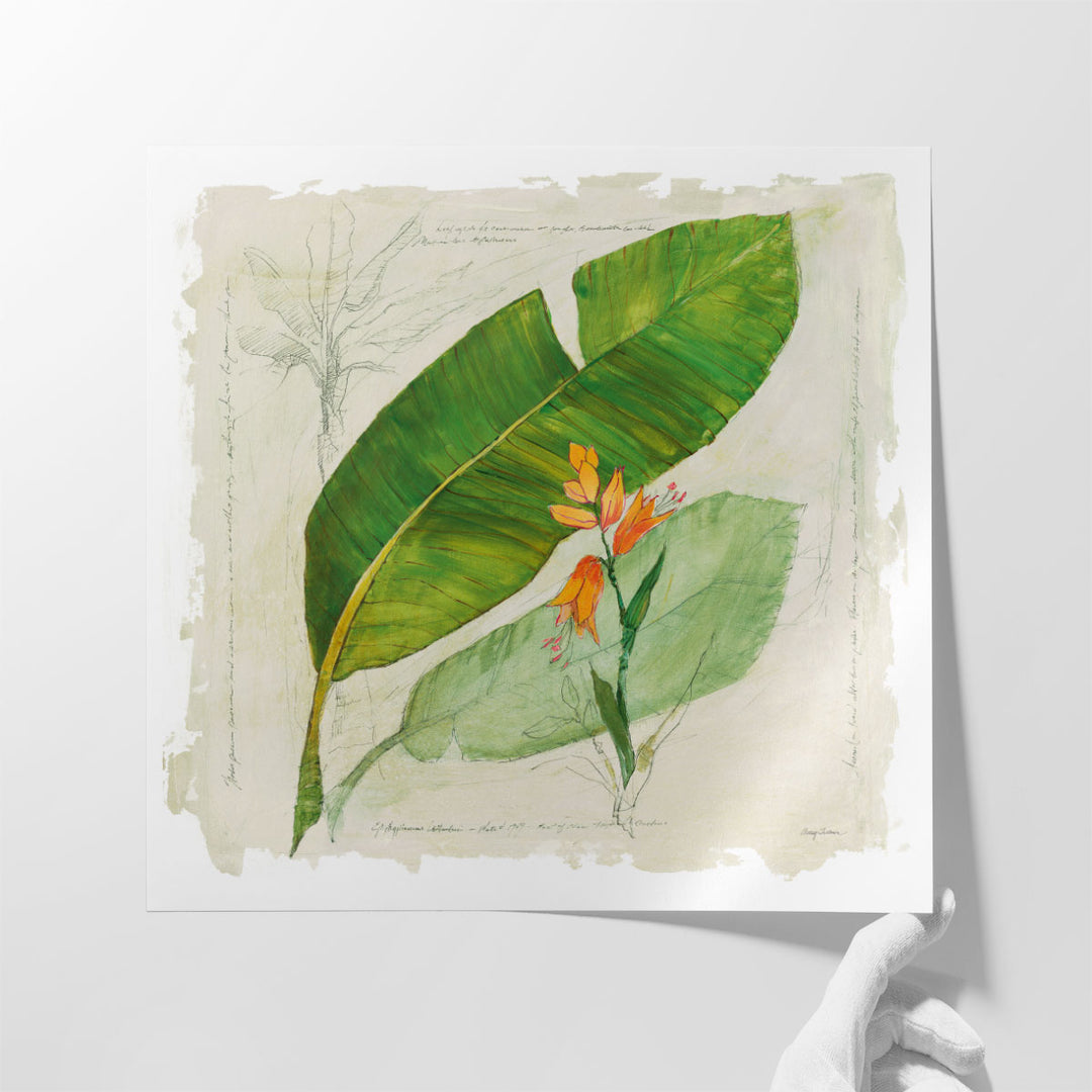 Botanical Study I - Canvas Print Wall Art