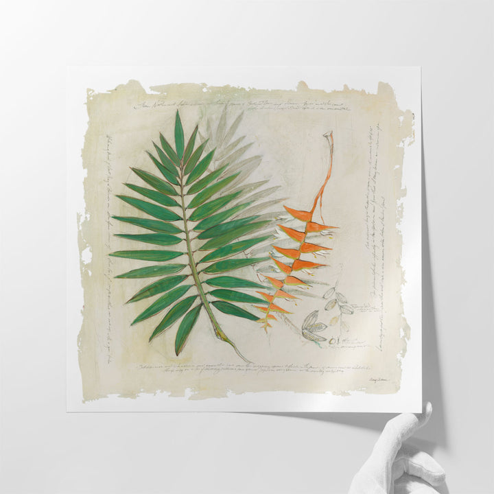 Botanical Study II - Canvas Print Wall Art