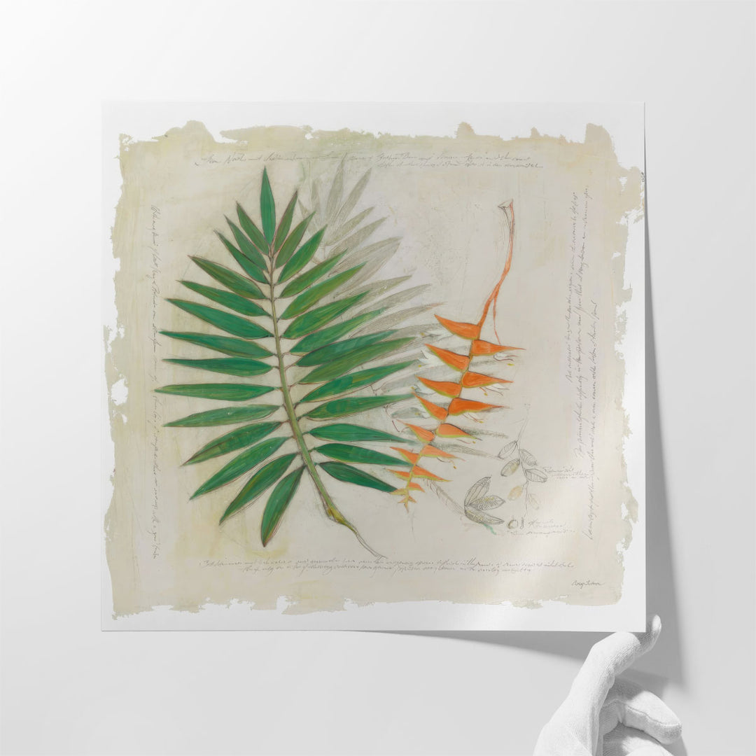 Botanical Study II - Canvas Print Wall Art