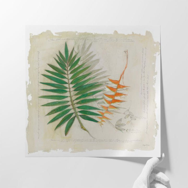 Botanical Study II - Canvas Print Wall Art