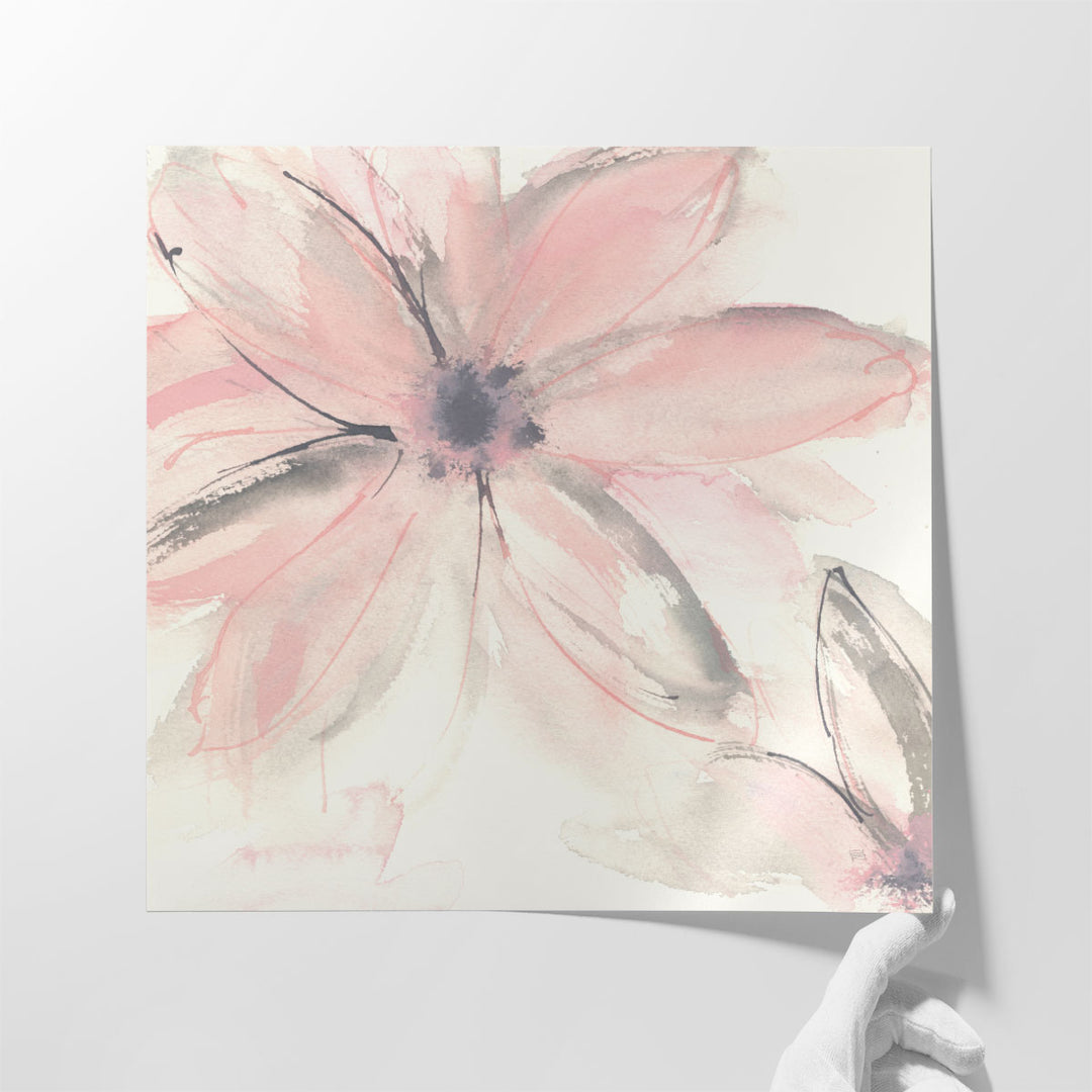 Blush Clematis II - Canvas Print Wall Art