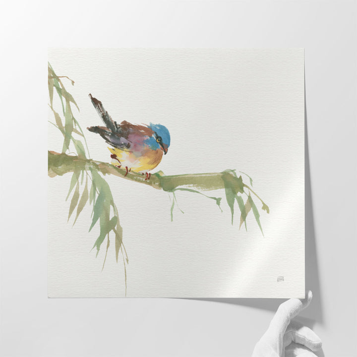 Finch - Canvas Print Wall Art