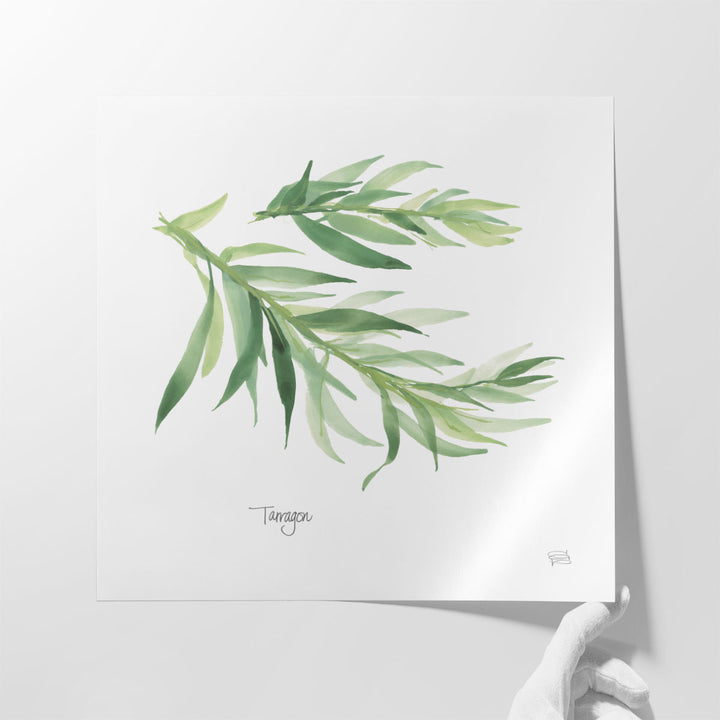 Tarragon - Canvas Print Wall Art