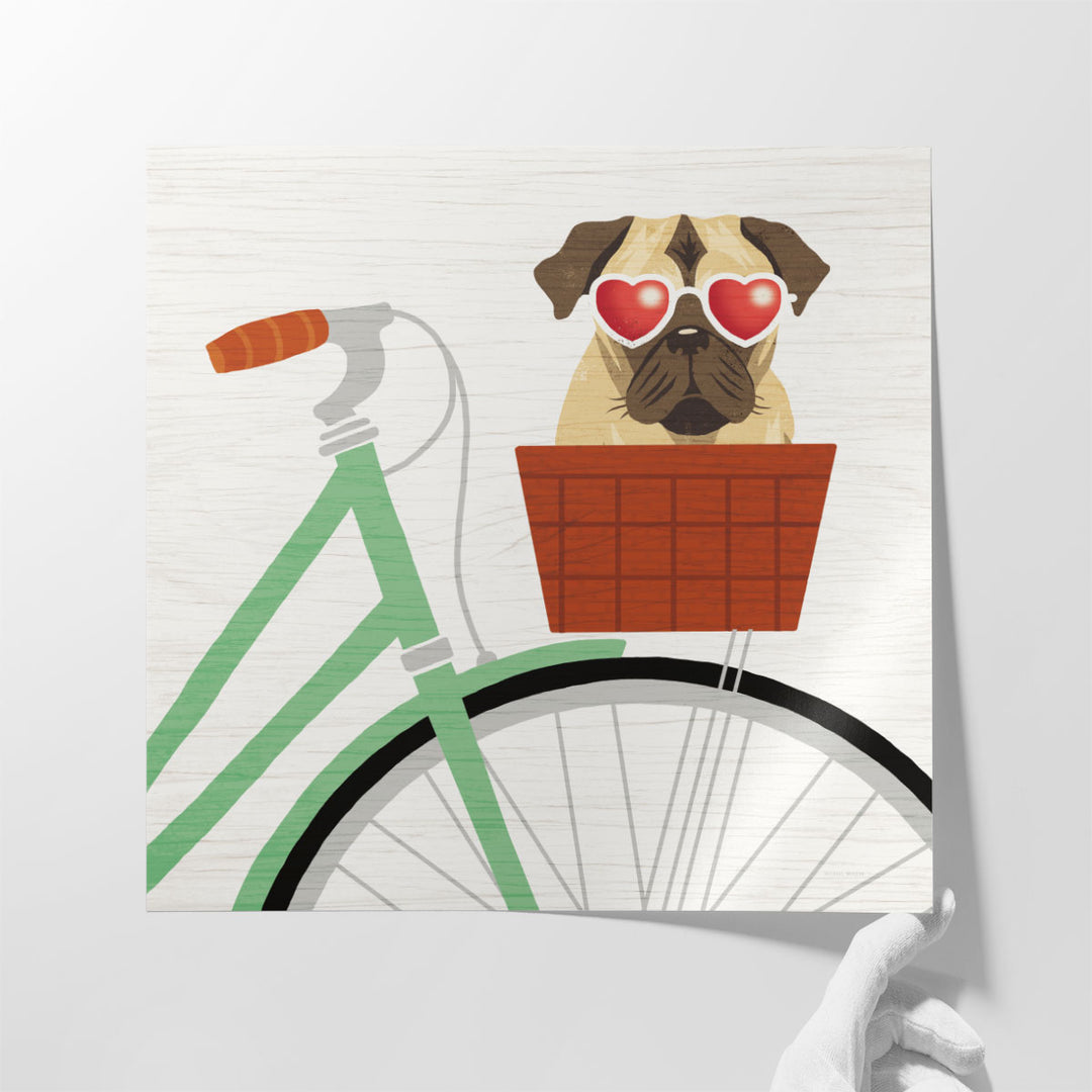 Beach Bums Pug Bicycle I - Canvas Print Wall Art