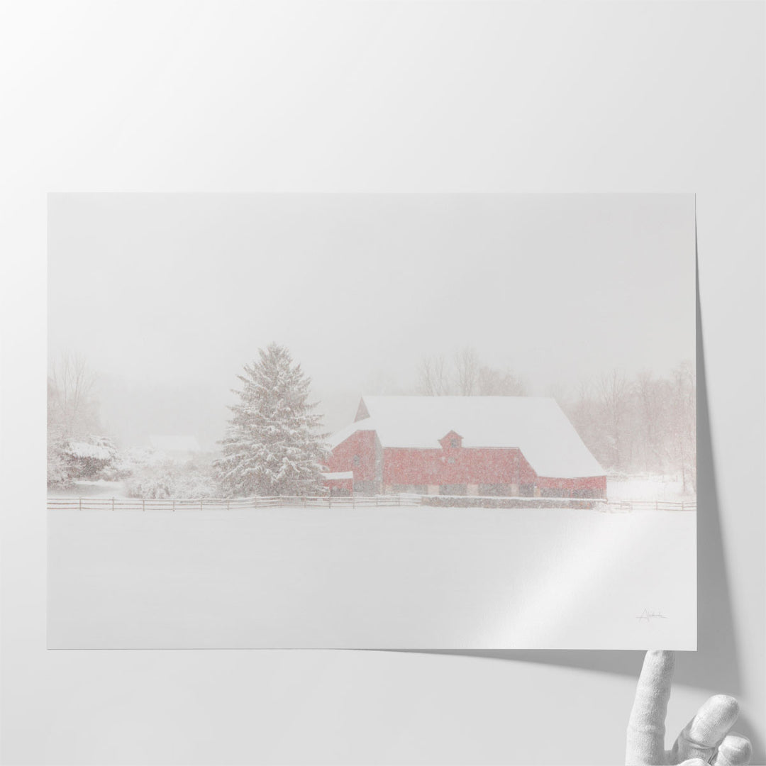 Big Red - Canvas Print Wall Art