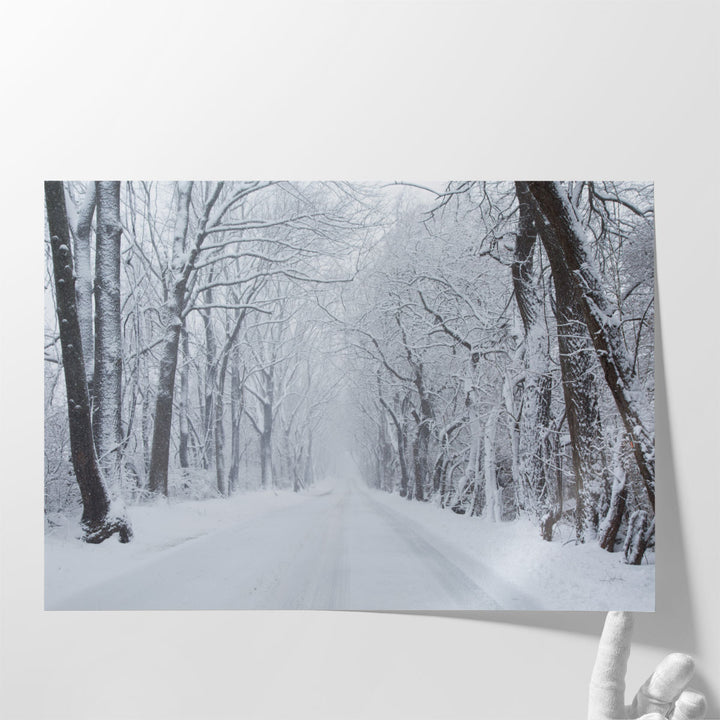 Going Home Black and White - Canvas Print Wall Art