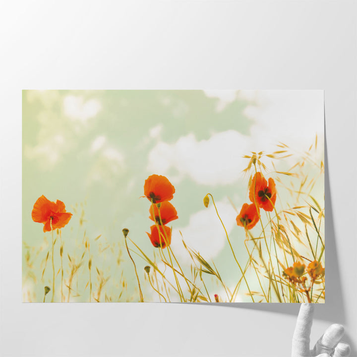 Poppies and Sky - Canvas Print Wall Art