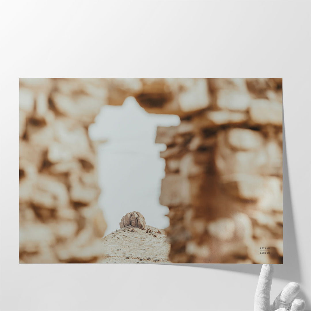 Through Ruins - Canvas Print Wall Art