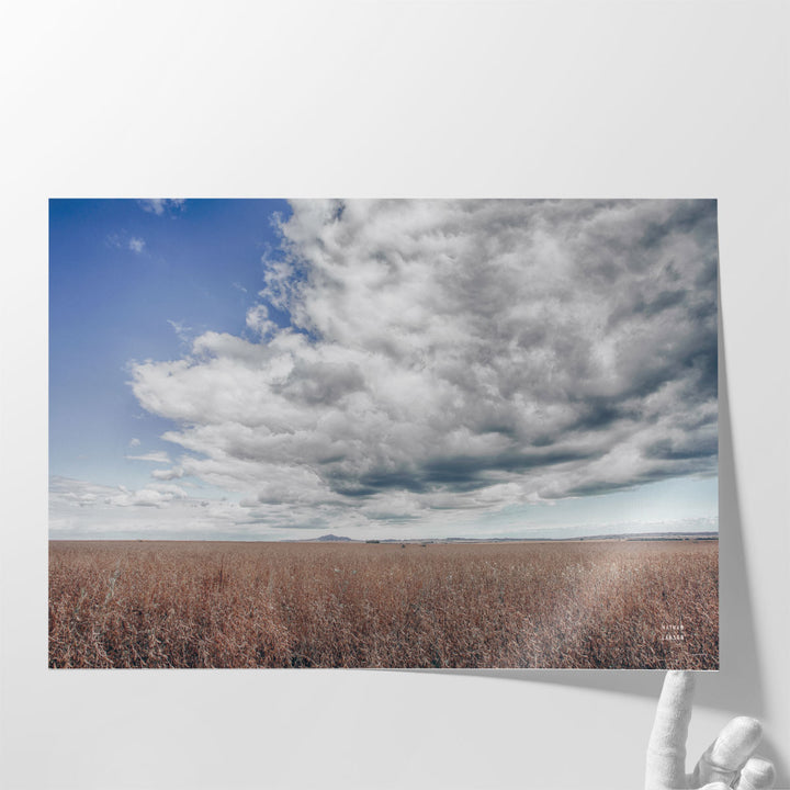 Soy Fields - Canvas Print Wall Art