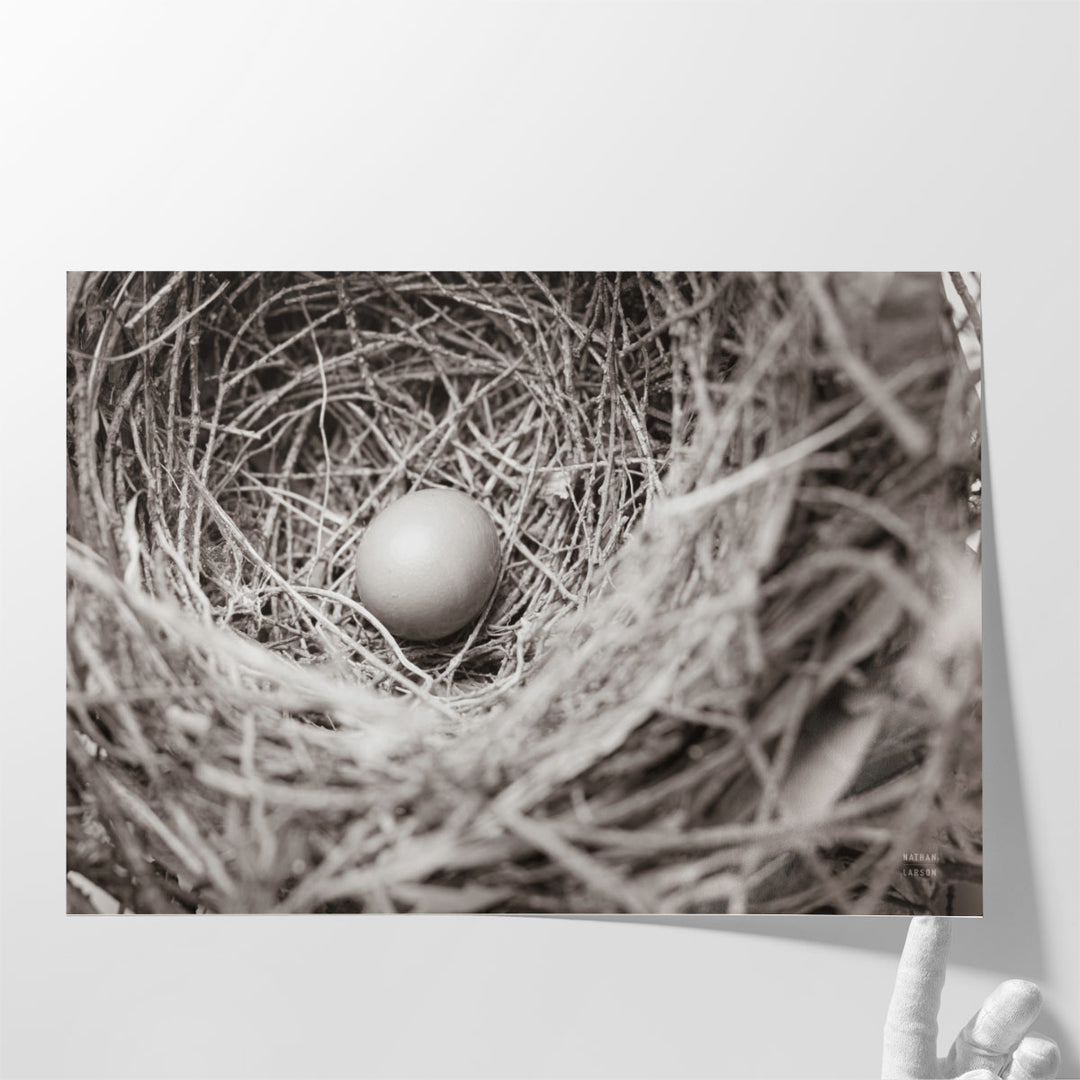 Nesting - Canvas Print Wall Art