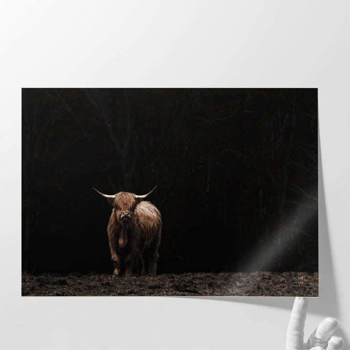 Highland Cow King of the Hill - Canvas Print Wall Art