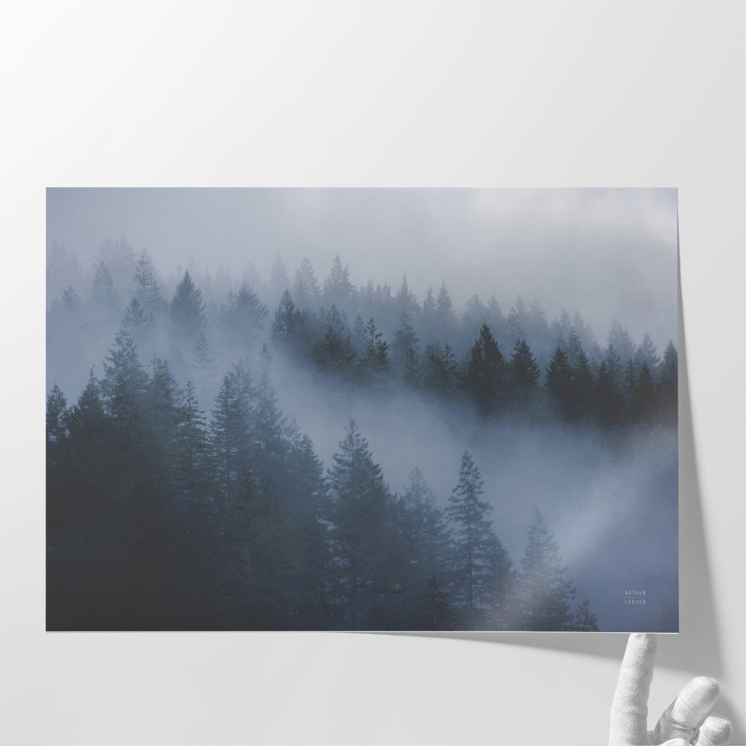 The Cove - Canvas Print Wall Art