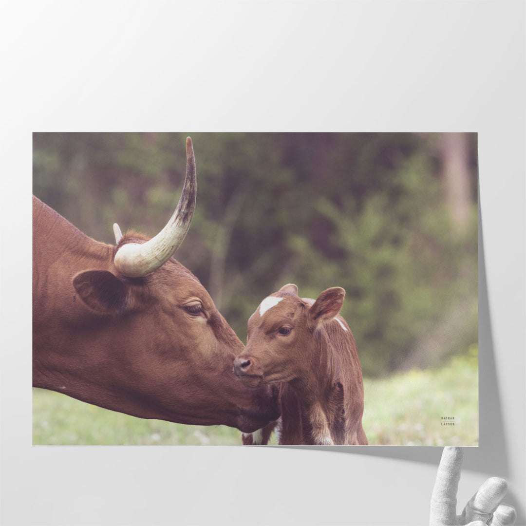 Longhorn Pairing - Canvas Print Wall Art