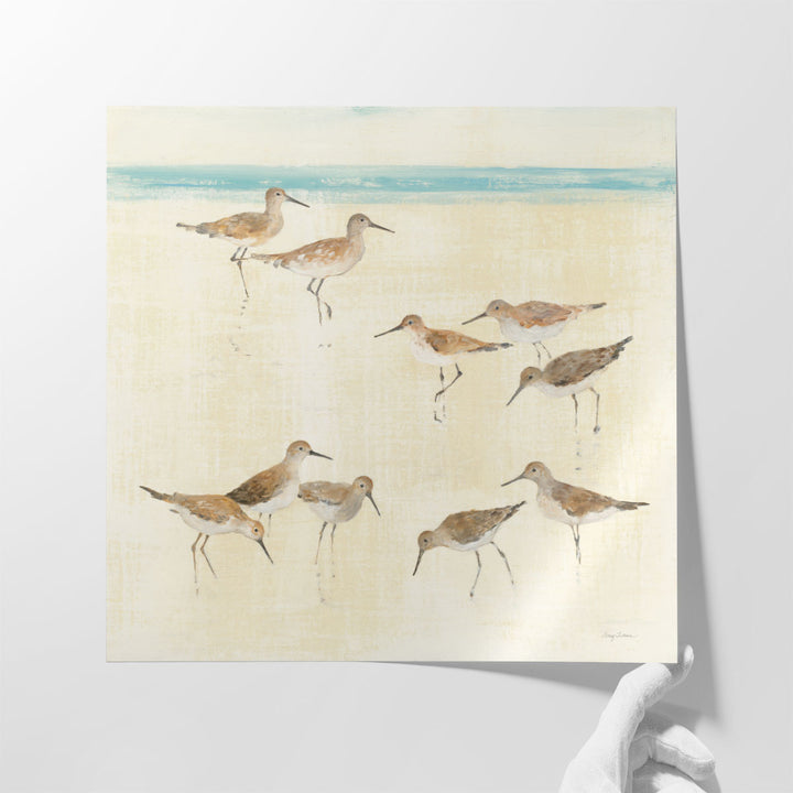 Sandpipers - Canvas Print Wall Art