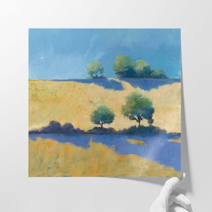 Shadows- Canvas Print Wall Art