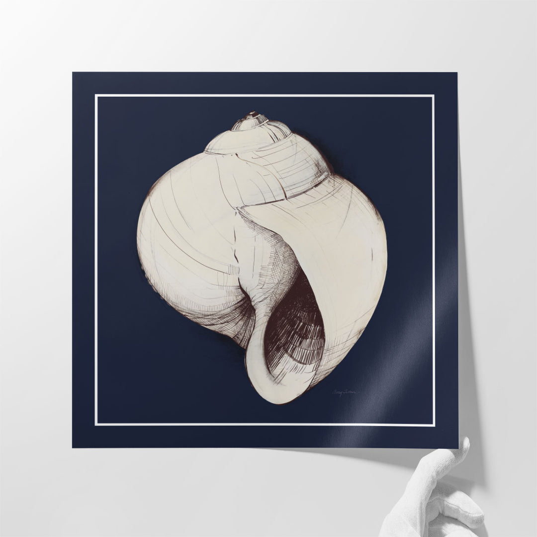 Coastal Shell I with Border Navy - Canvas Print Wall Art