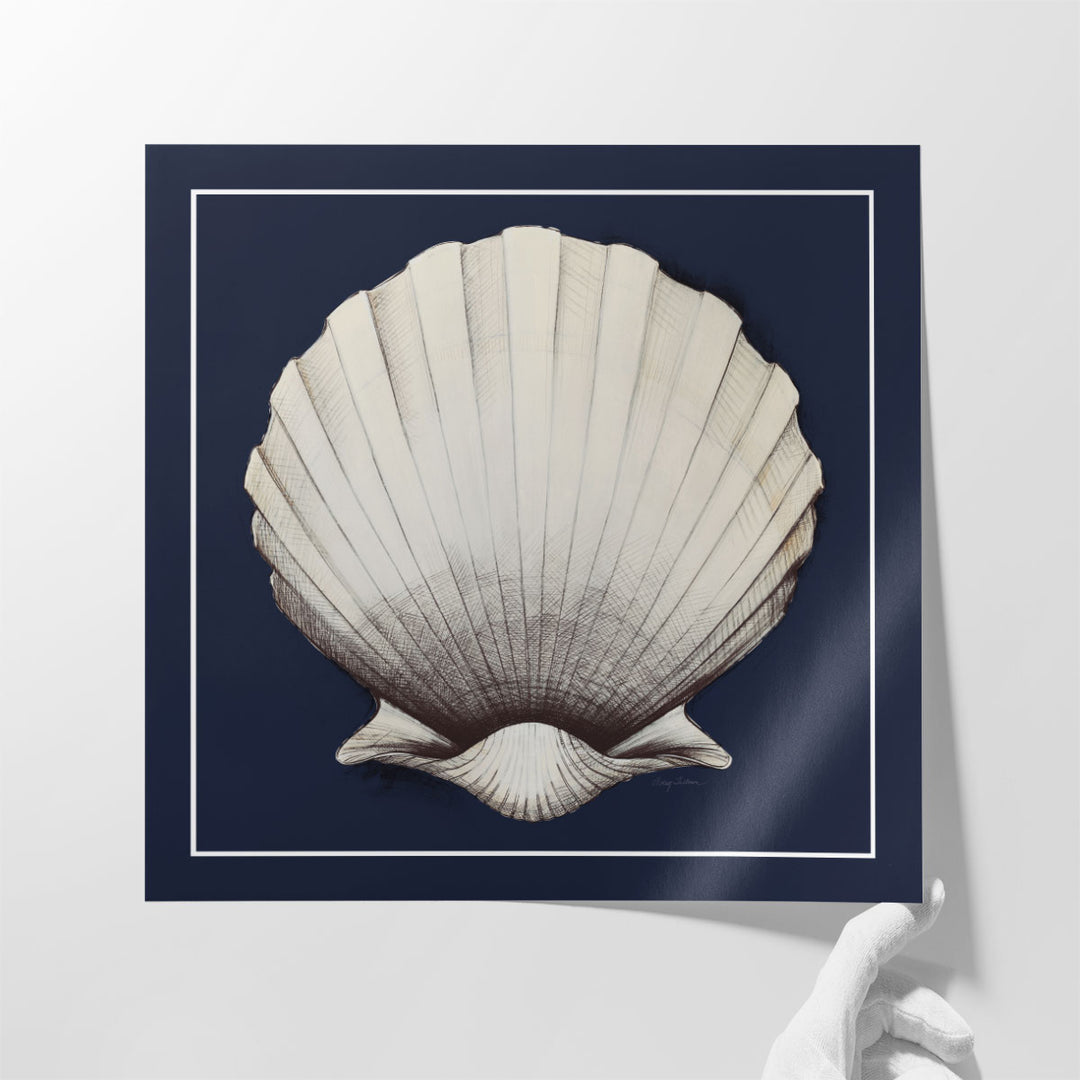 Coastal Shell II with Border Navy - Canvas Print Wall Art