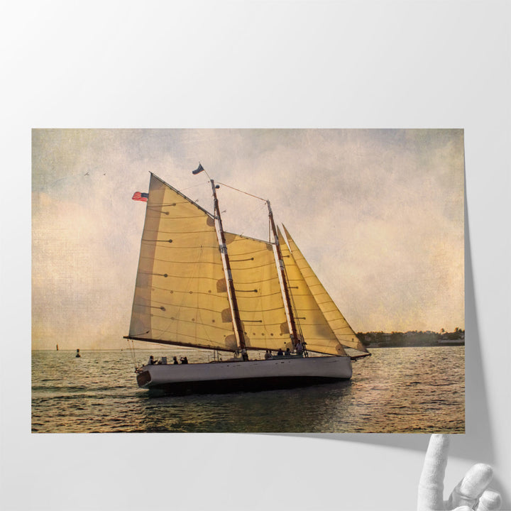 Morning Sail - Canvas Print Wall Art