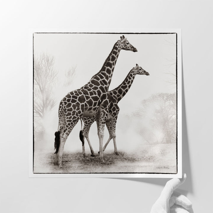 Giraffe II - Canvas Print Wall Art