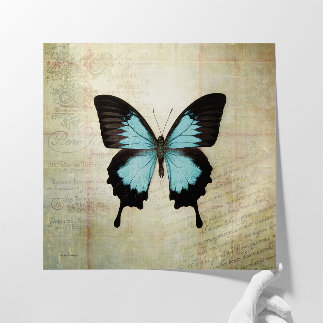 French Butterfly III - Canvas Print Wall Art