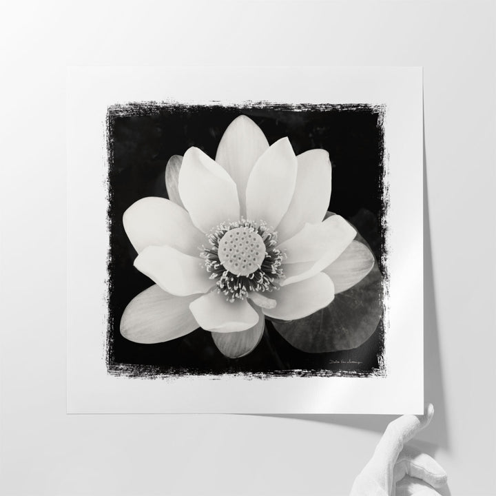 Lotus Flower II Black and White - Canvas Print Wall Art