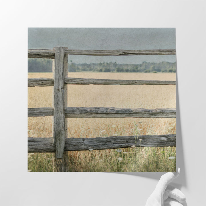 Neutral Country I - Canvas Print Wall Art