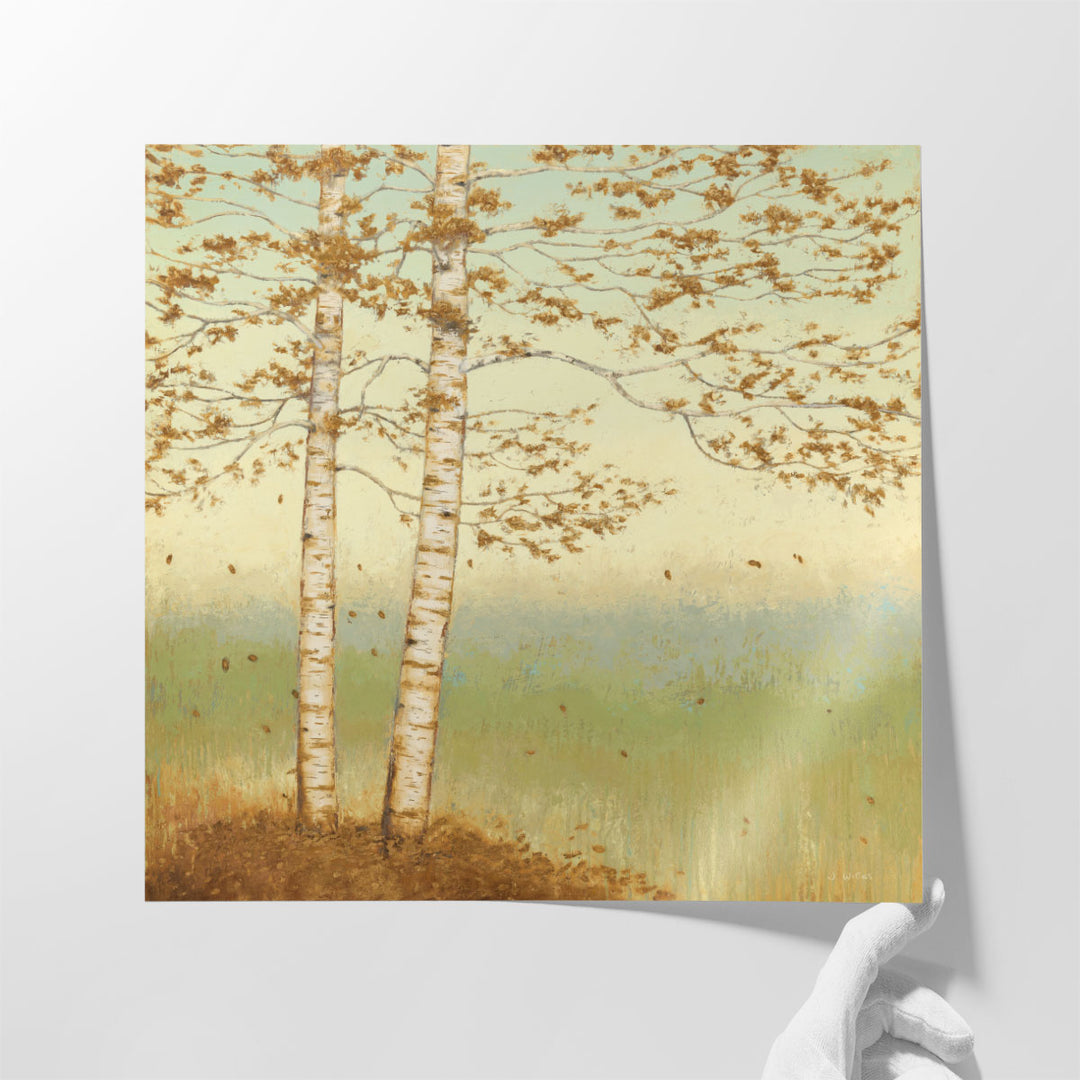 Golden Birch I with Blue Sky - Canvas Print Wall Art