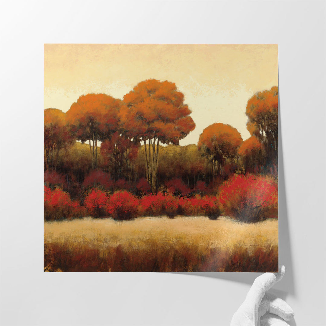 Autumn Forest II - Canvas Print Wall Art