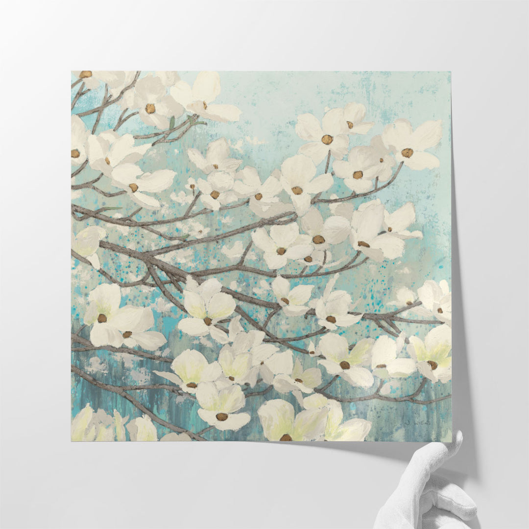 Dogwood Blossoms II - Canvas Print Wall Art