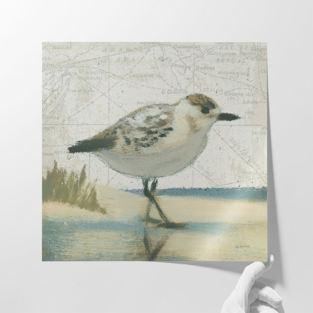 Beach Bird I- Canvas Print Wall Art