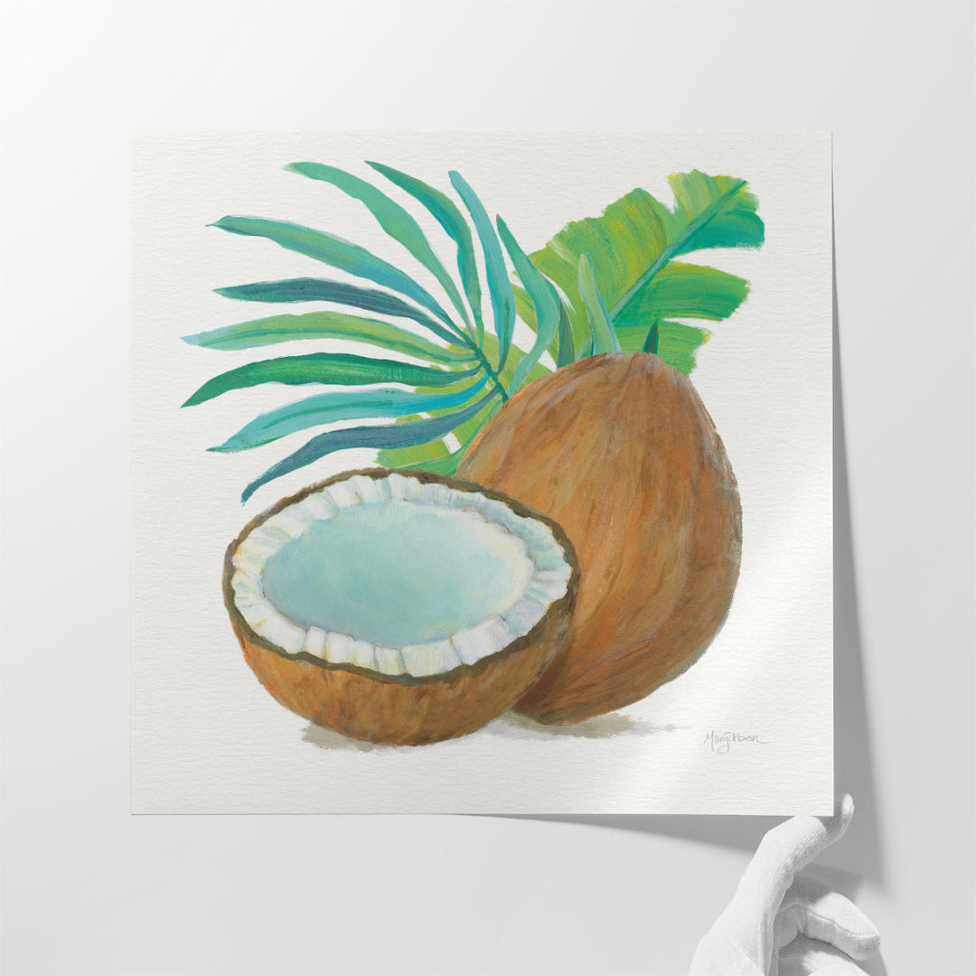 Coconut Palm III - Canvas Print Wall Art