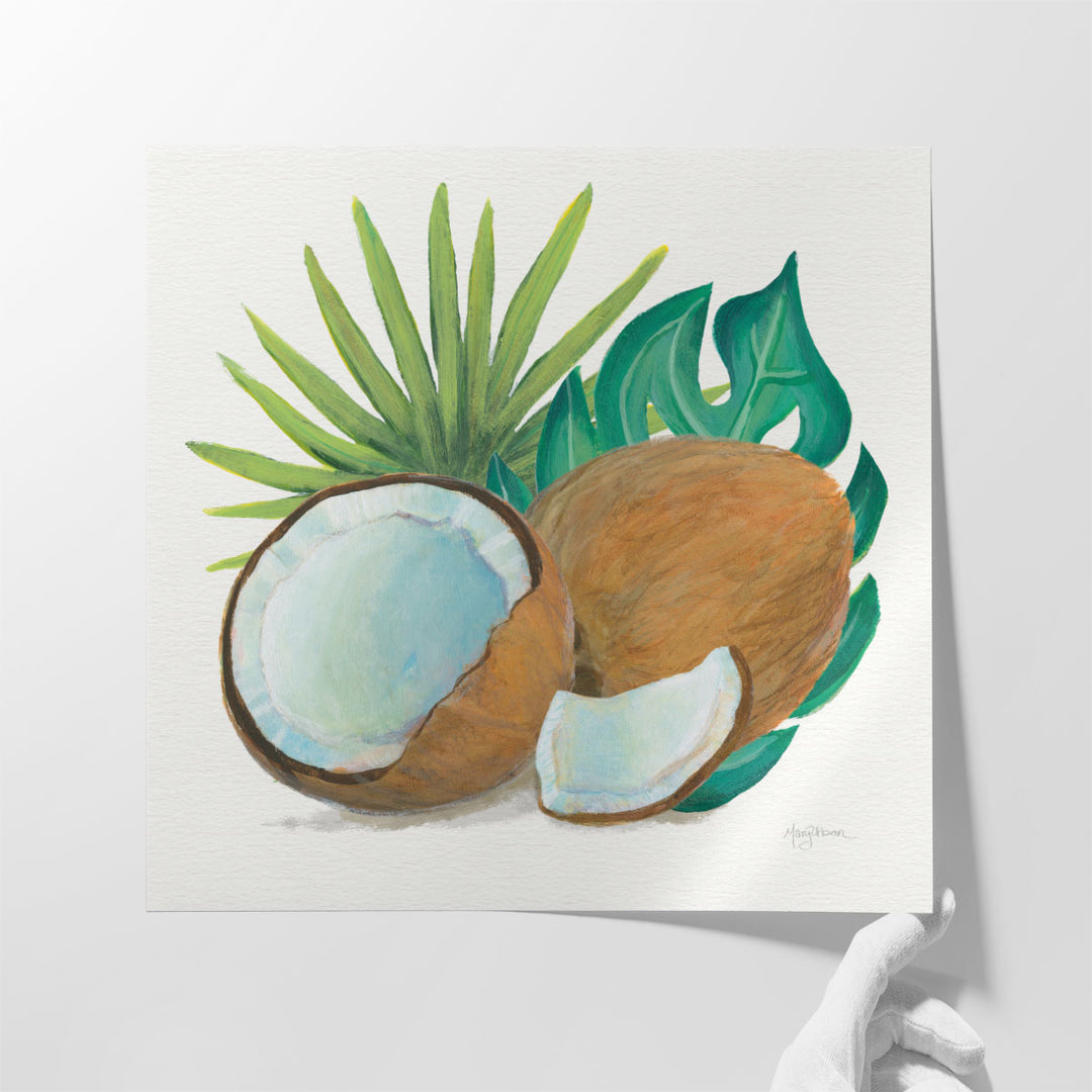 Coconut Palm V - Canvas Print Wall Art