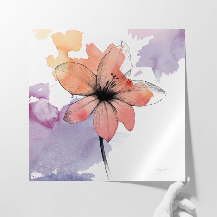 Watercolor Graphite Flower II - Canvas Print Wall Art