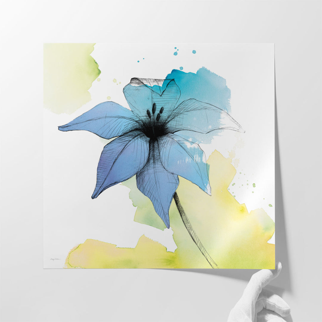 Watercolor Graphite Flower V - Canvas Print Wall Art