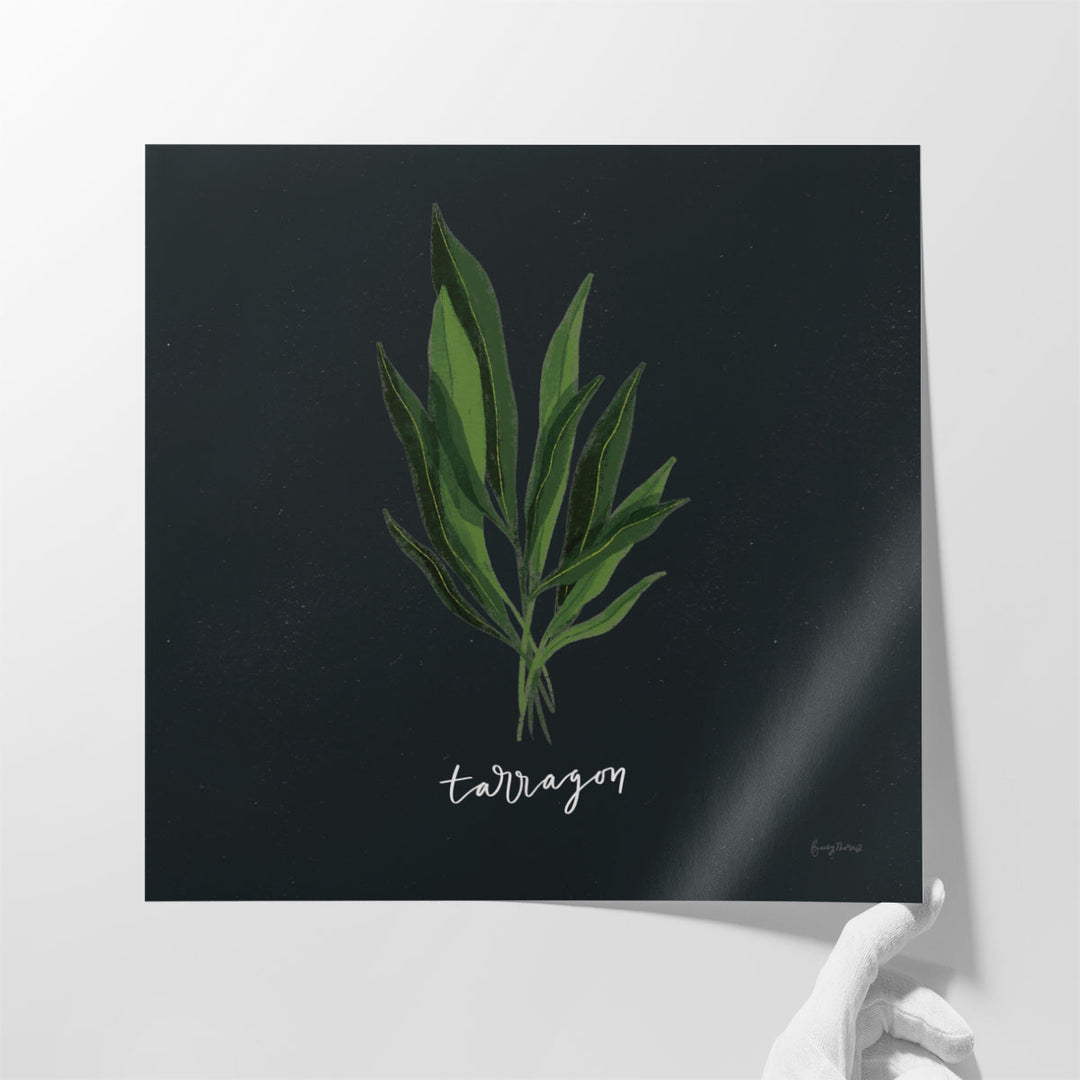 Herbs V Black - Canvas Print Wall Art