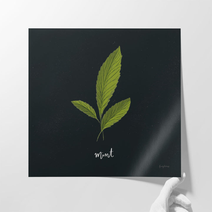 Herbs VII Black - Canvas Print Wall Art