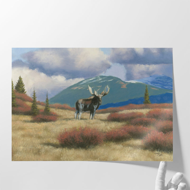 Northern Moose - Canvas Print Wall Art