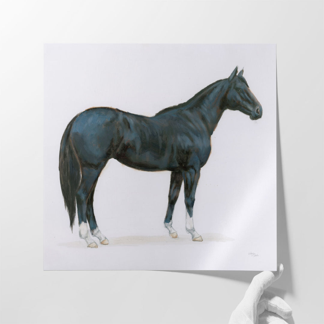 Black Horse - Canvas Print Wall Art