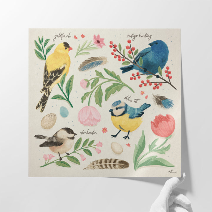 Bird Study II - Canvas Print Wall Art