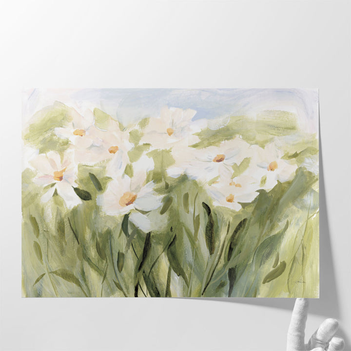 Daisy Meadow - Canvas Print Wall Art