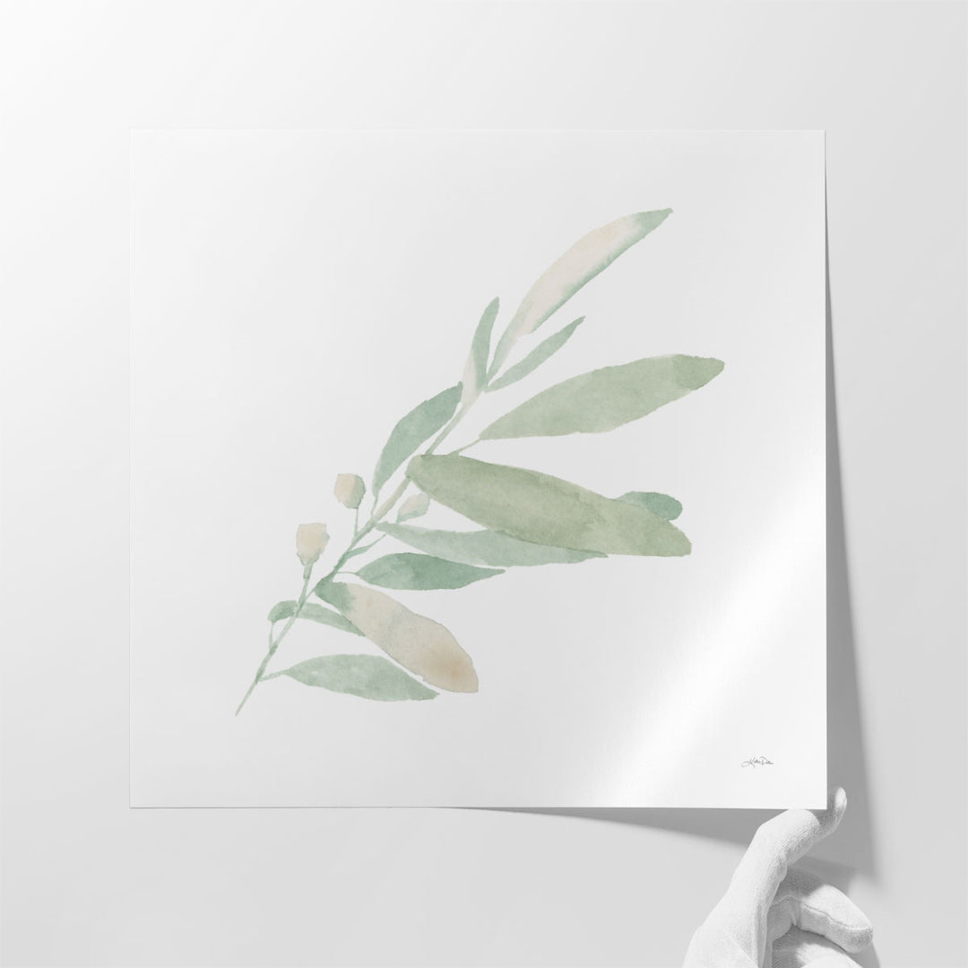 Sage I - Canvas Print Wall Art