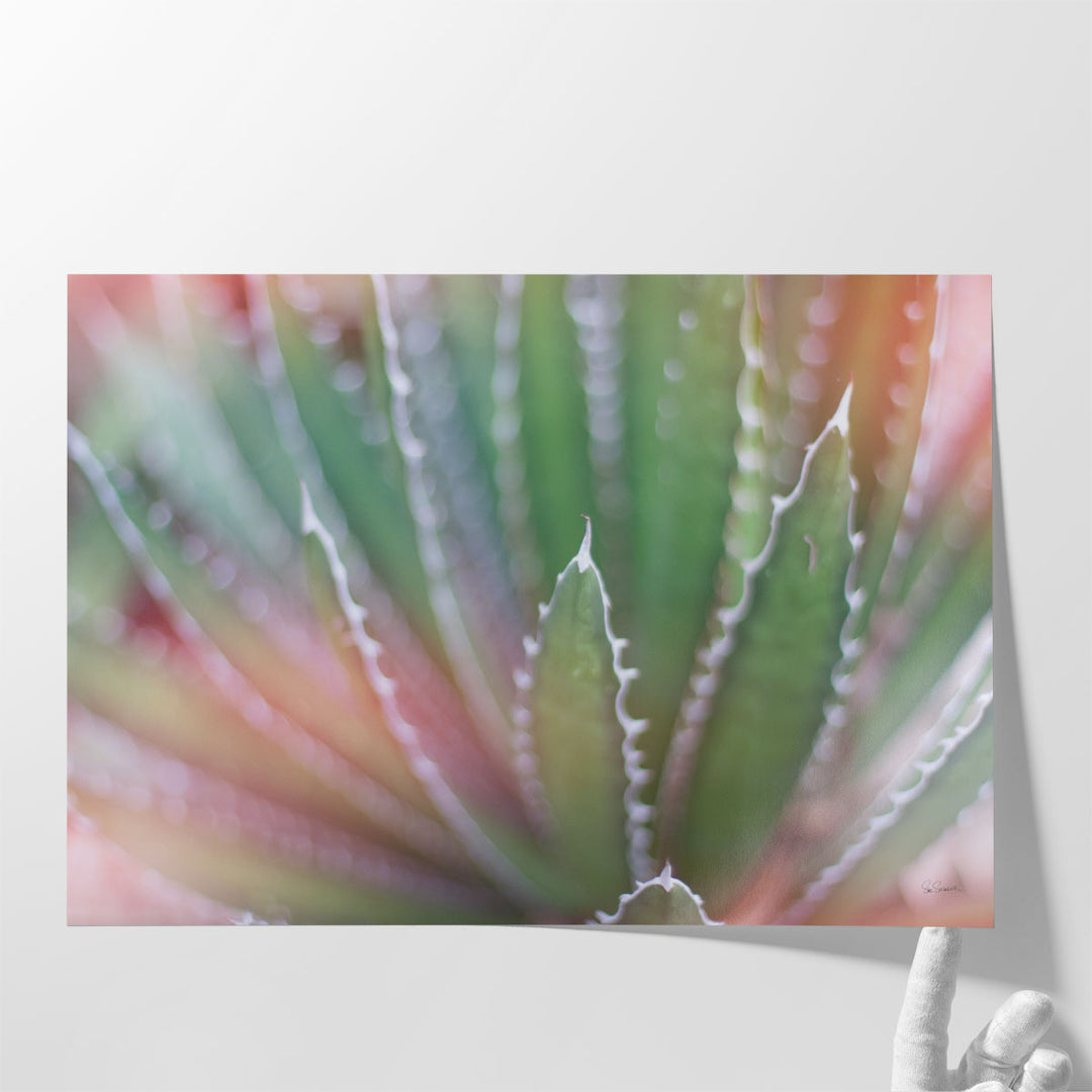 Dream Desert II - Canvas Print Wall Art