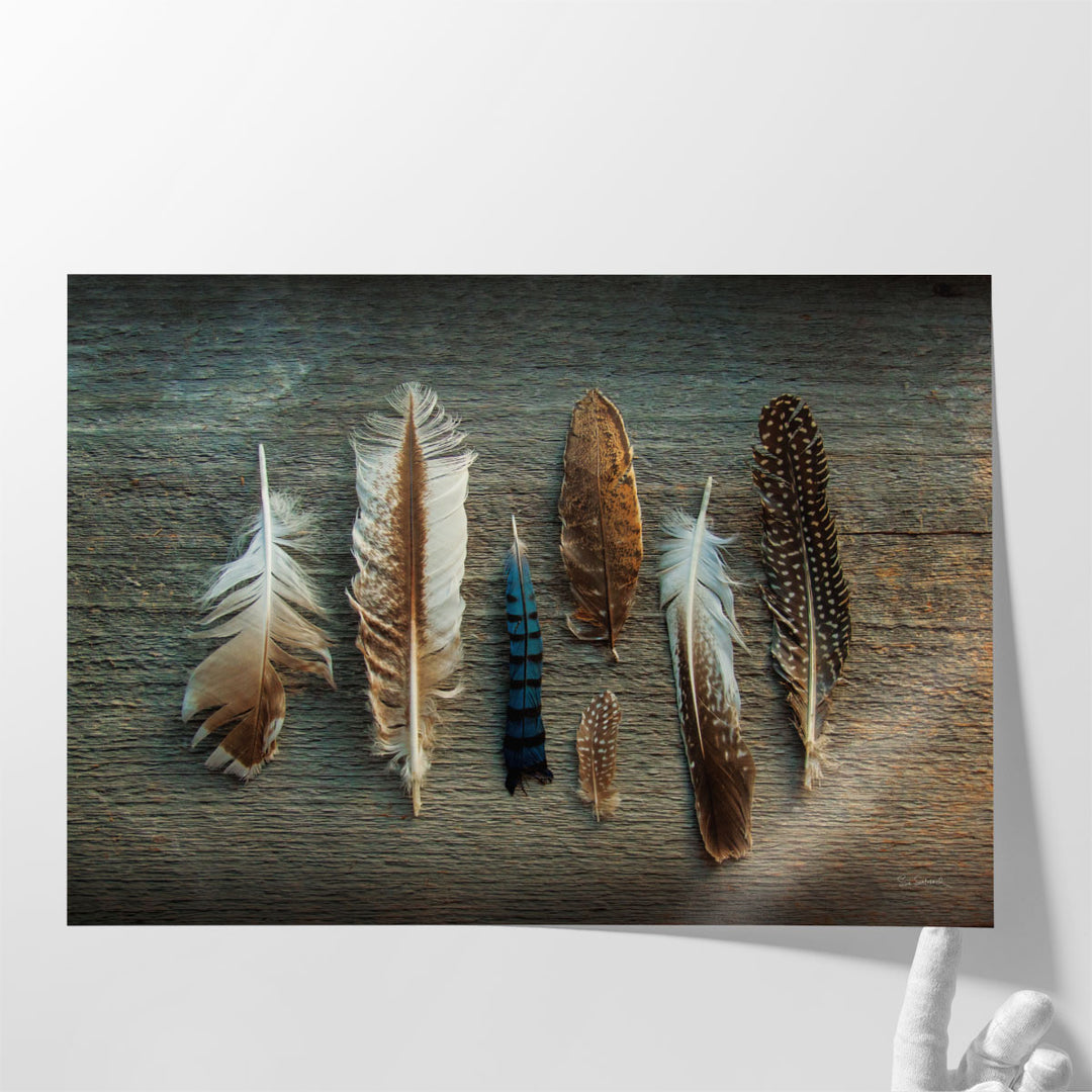 Feather Collection I - Canvas Print Wall Art