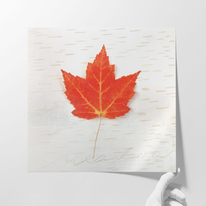 Autumn Colors I - Canvas Print Wall Art