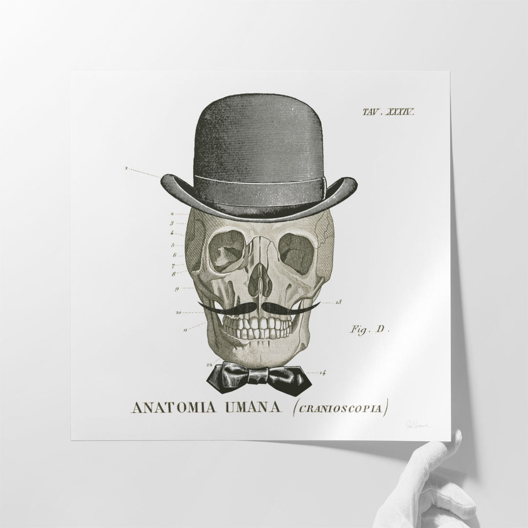 Dandy Bones IV Black and White - Canvas Print Wall Art