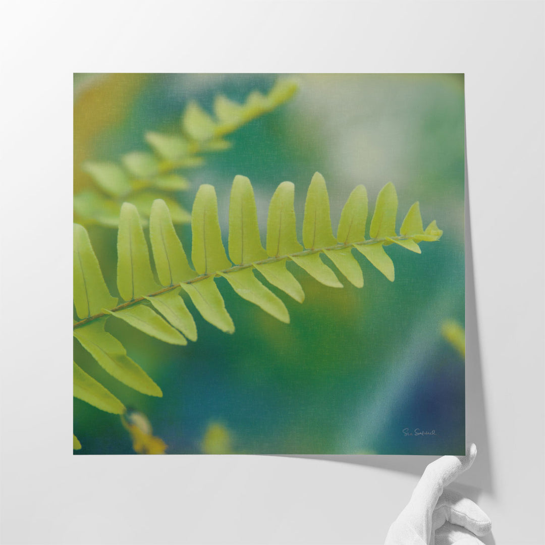 Natures Ferns I - Canvas Print Wall Art