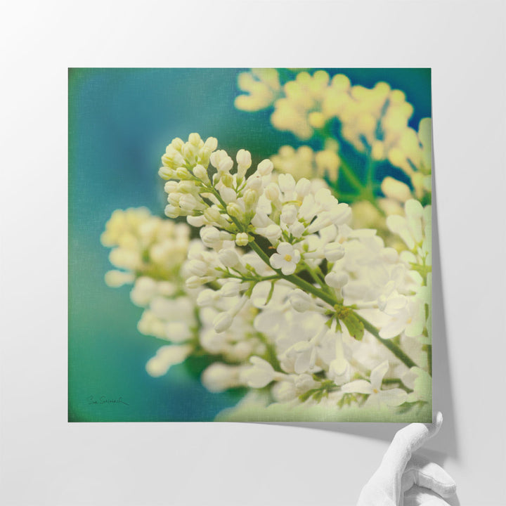 Natures Lilac Blossom - Canvas Print Wall Art