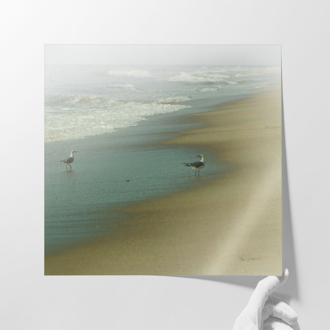 Seabirds - Canvas Print Wall Art