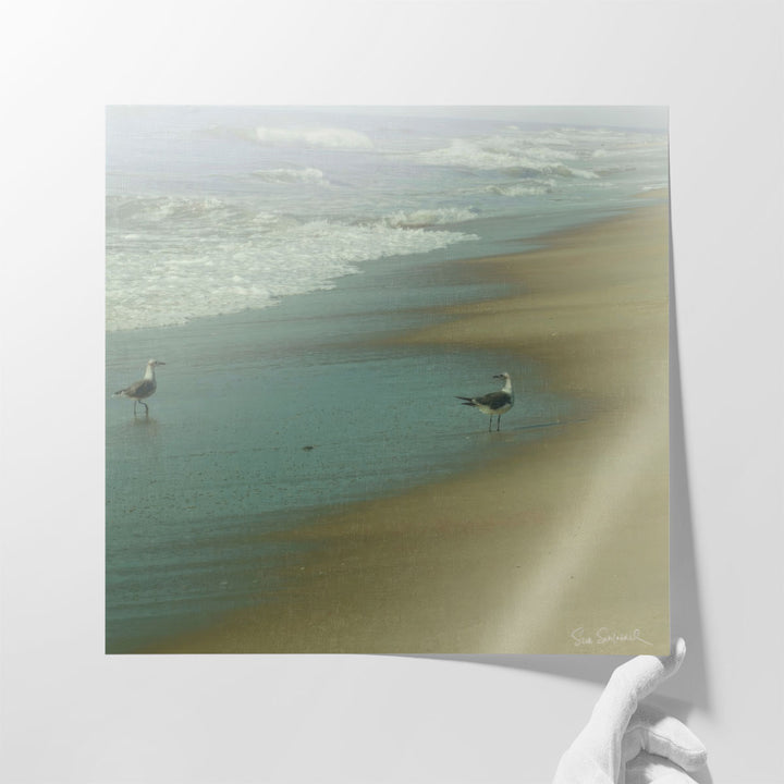 Seabirds - Canvas Print Wall Art